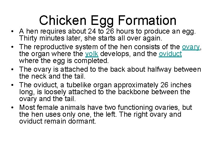 Chicken Egg Formation • A hen requires about 24 to 26 hours to produce