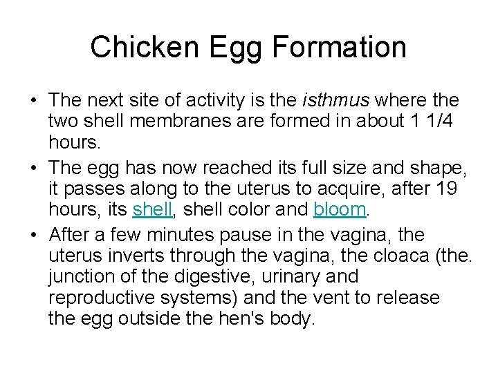 Chicken Egg Formation • The next site of activity is the isthmus where the