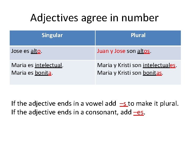 Adjectives agree in number Singular Plural Jose es alto. Juan y Jose son altos.
