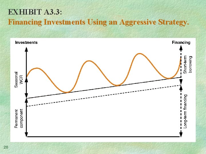 EXHIBIT A 3. 3: Financing Investments Using an Aggressive Strategy. 20 