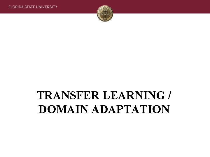 TRANSFER LEARNING / DOMAIN ADAPTATION 