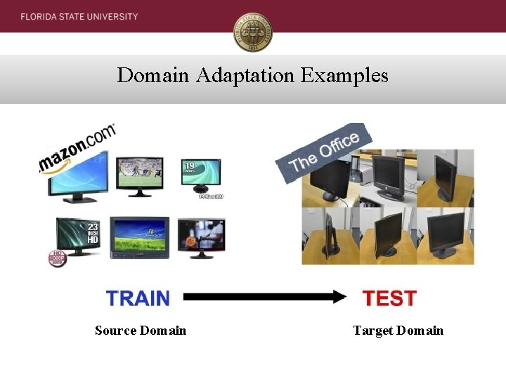 Domain Adaptation Examples Source Domain Target Domain 