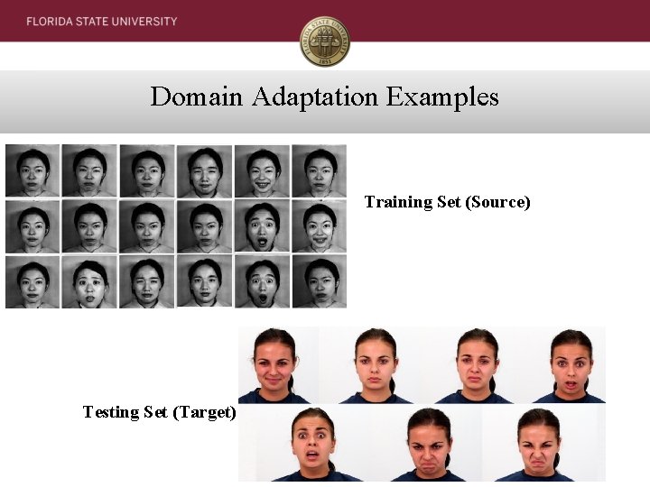 Domain Adaptation Examples Training Set (Source) Testing Set (Target) 