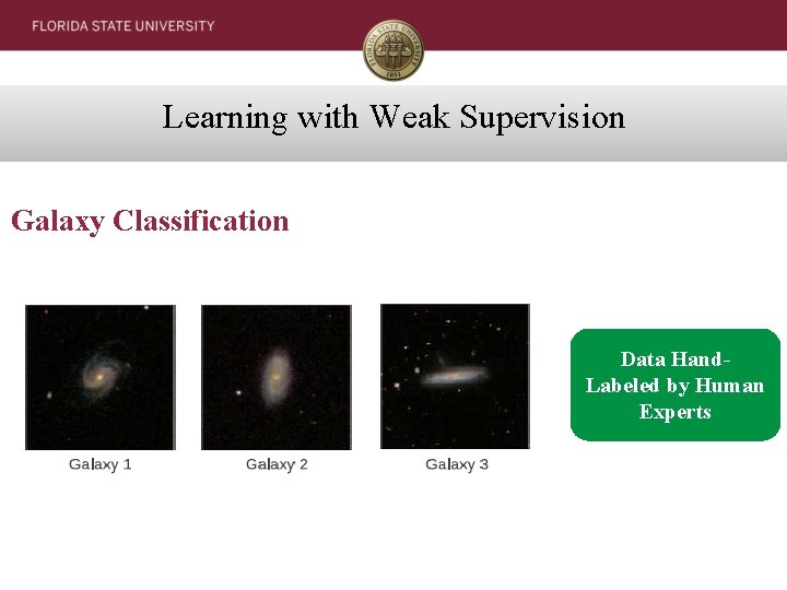 Learning with Weak Supervision Galaxy Classification Data Hand. Labeled by Human Experts 