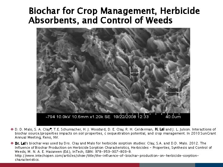 Biochar for Crop Management, Herbicide Absorbents, and Control of Weeds v D. D. Malo,