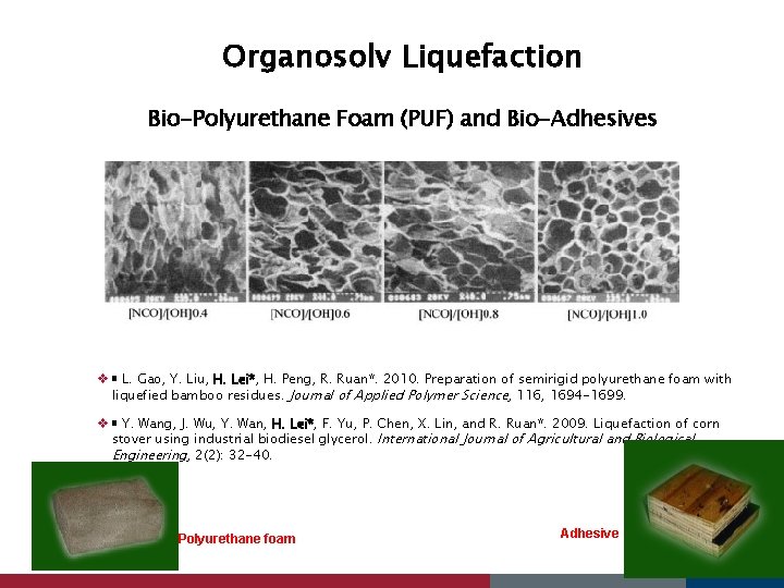 Organosolv Liquefaction Bio-Polyurethane Foam (PUF) and Bio-Adhesives v L. Gao, Y. Liu, H. Lei*,