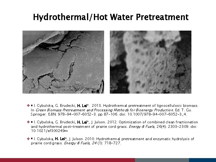 Hydrothermal/Hot Water Pretreatment v I. Cybulska, G. Brudecki, H. Lei*. 2013. Hydrothermal pretreatment of