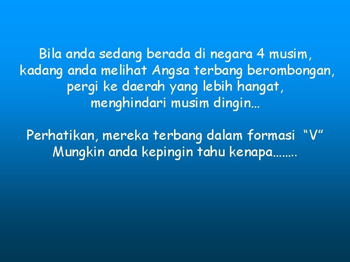 Bila anda sedang berada di negara 4 musim, kadang anda melihat Angsa terbang berombongan,