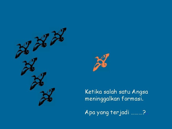 Ketika salah satu Angsa meninggalkan formasi. Apa yang terjadi ………? . . 