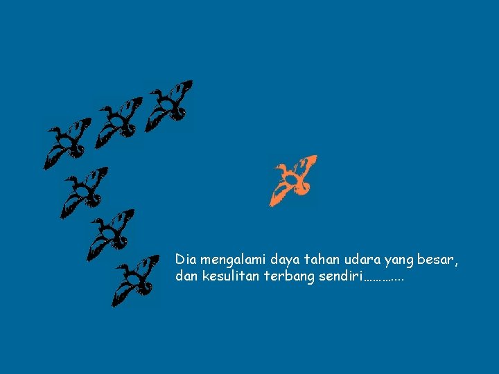 Dia mengalami daya tahan udara yang besar, dan kesulitan terbang sendiri………. . 