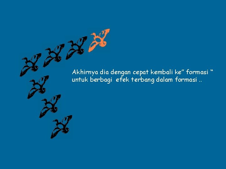 Akhirnya dia dengan cepat kembali ke” formasi “ untuk berbagi efek terbang dalam formasi.