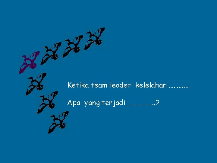 Ketika team leader kelelahan ………. . . Apa yang terjadi ……………. . ? 
