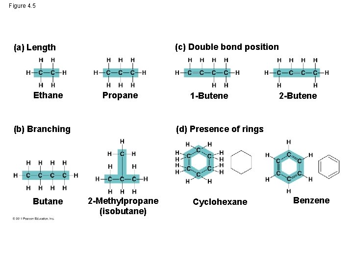 Figure 4. 5 (c) Double bond position (a) Length Ethane Propane (b) Branching Butane