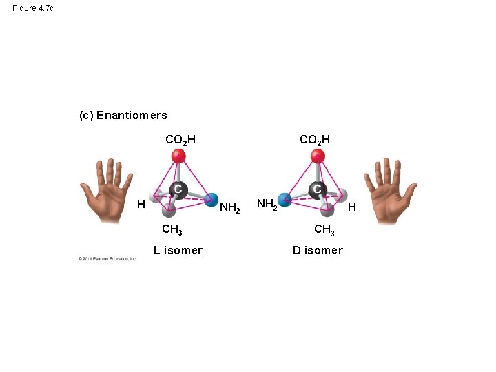 Figure 4. 7 c (c) Enantiomers CO 2 H H CO 2 H NH