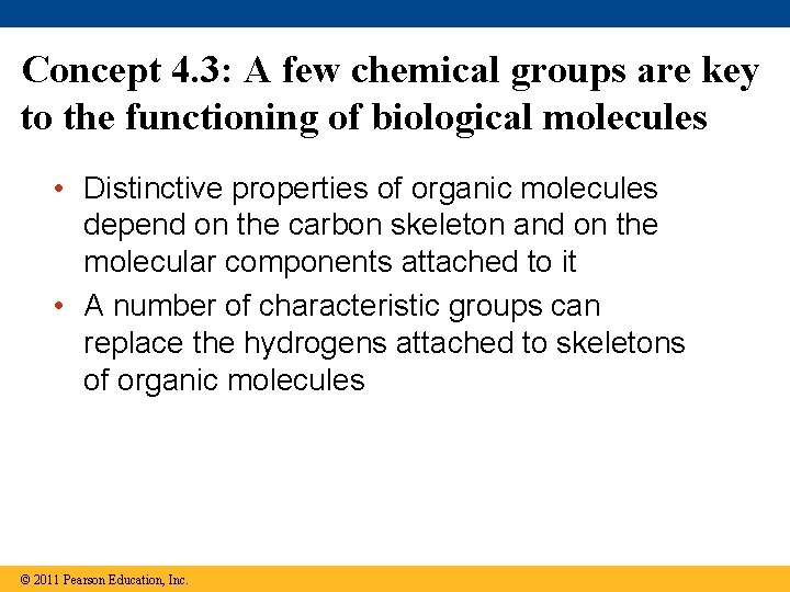 Concept 4. 3: A few chemical groups are key to the functioning of biological