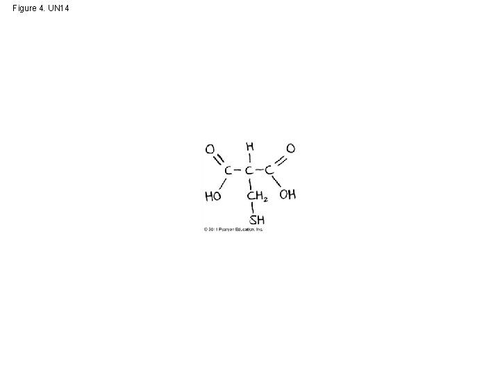 Figure 4. UN 14 