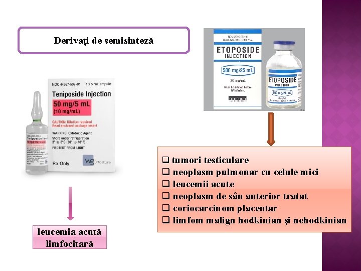 Derivați de semisinteză q tumori testiculare q neoplasm pulmonar cu celule mici q leucemii