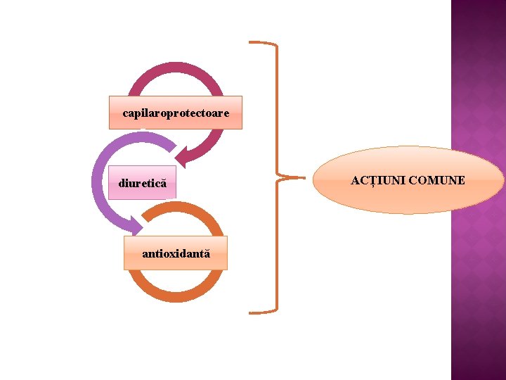 capilaroprotectoare diuretică antioxidantă ACȚIUNI COMUNE 