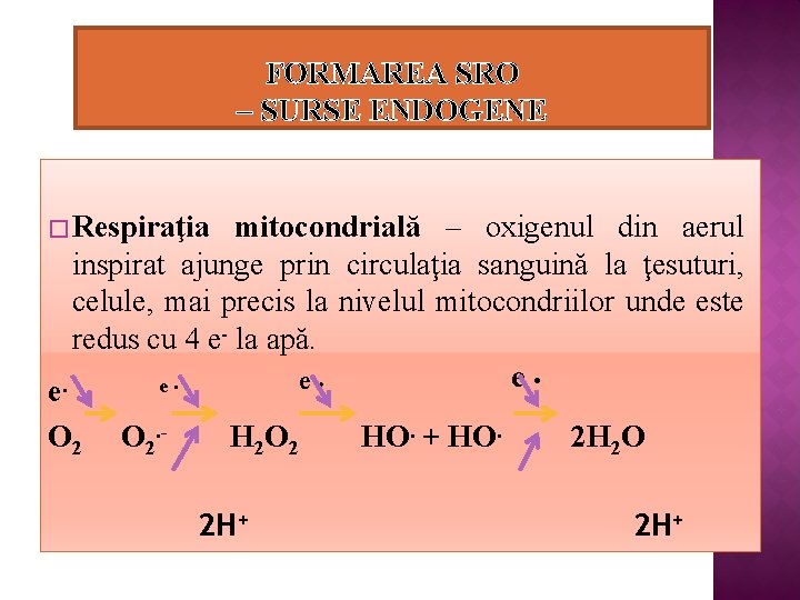 FORMAREA SRO – SURSE ENDOGENE � Respiraţia mitocondrială – oxigenul din aerul inspirat ajunge