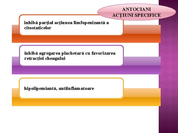 ANTOCIANI ACȚIUNI SPECIFICE inhibă parţial acţiunea limfopenizantă a citostaticelor inhibă agregarea plachetară cu favorizarea