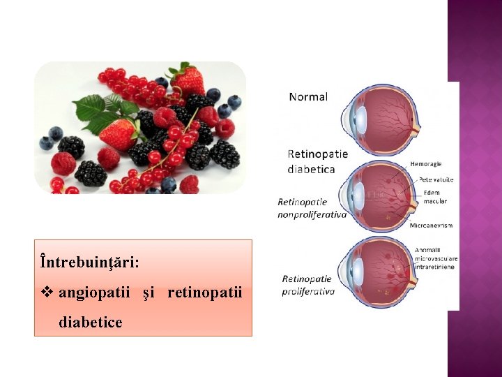 Întrebuinţări: v angiopatii şi retinopatii diabetice 