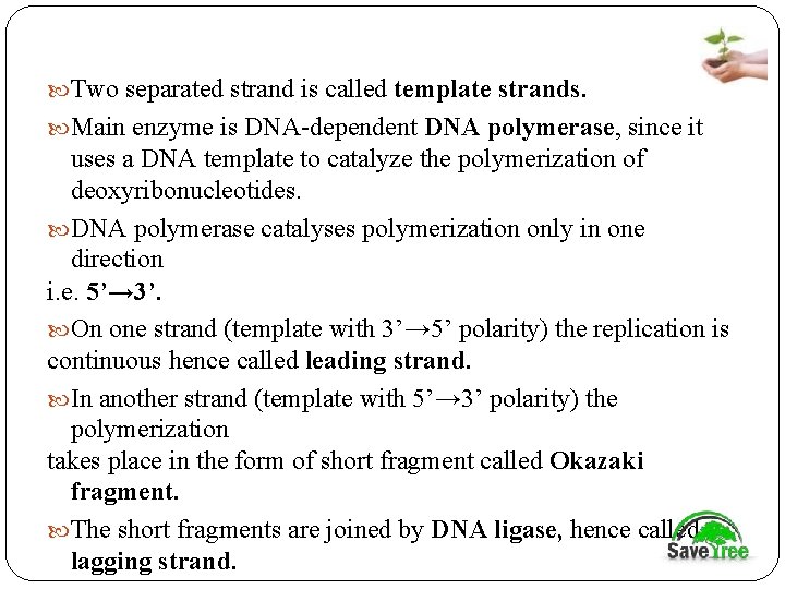  Two separated strand is called template strands. Main enzyme is DNA-dependent DNA polymerase,