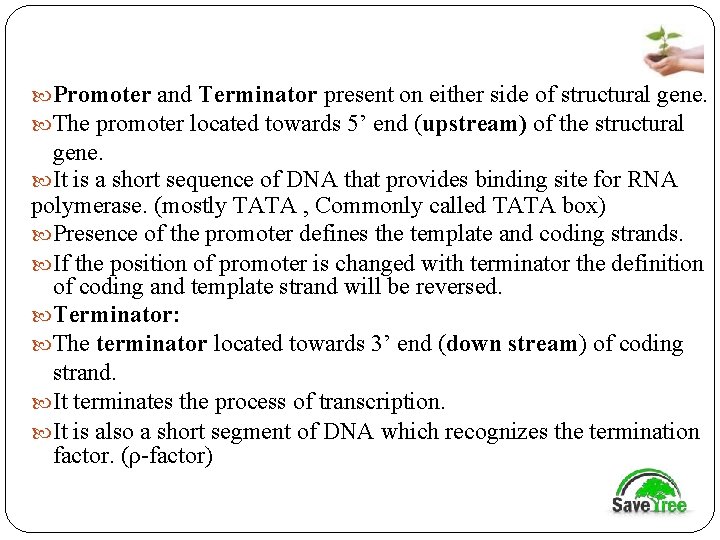  Promoter and Terminator present on either side of structural gene. The promoter located