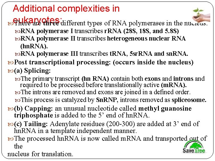 Additional complexities in eukaryotes: There are three different types of RNA polymerases in the