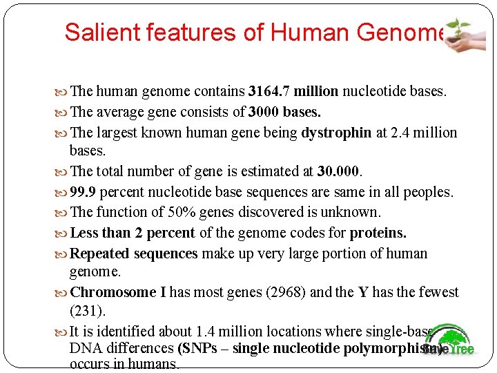 Salient features of Human Genome: The human genome contains 3164. 7 million nucleotide bases.