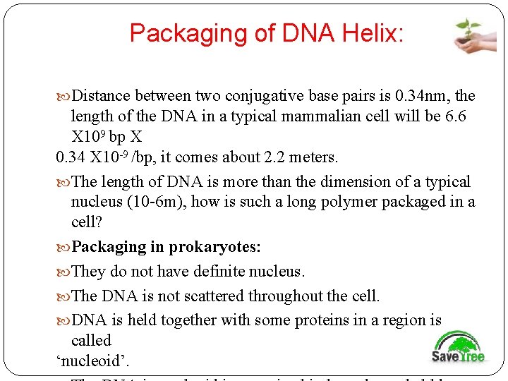 Packaging of DNA Helix: Distance between two conjugative base pairs is 0. 34 nm,