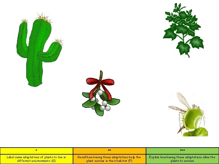 * ** *** Label some adaptations of plants to live in different environments (G)