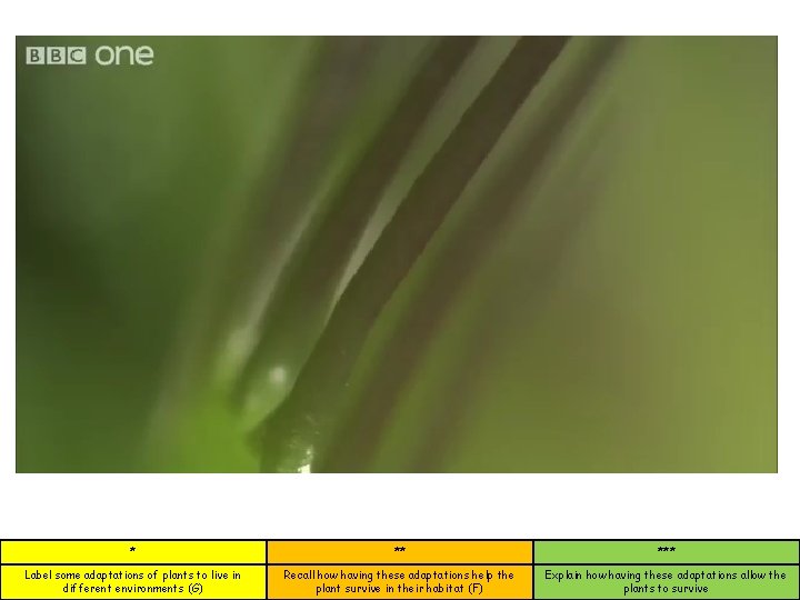 * ** *** Label some adaptations of plants to live in different environments (G)