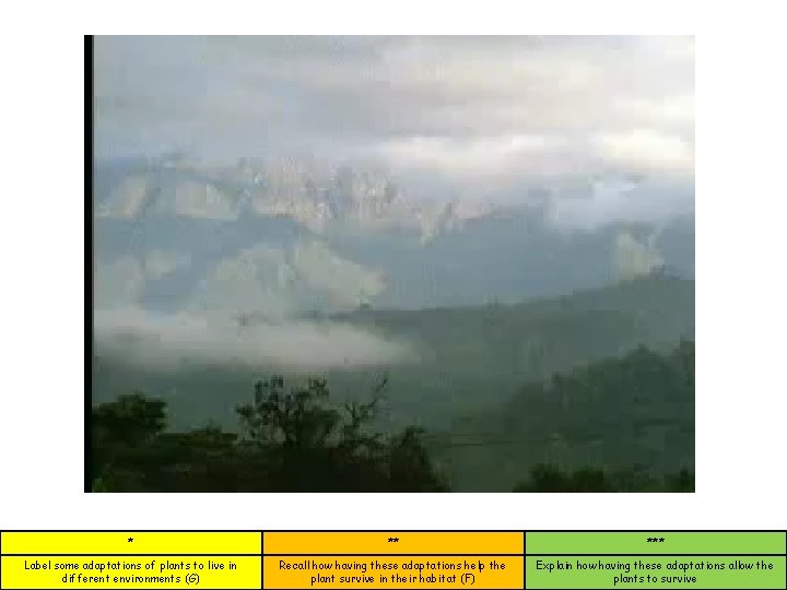 * ** *** Label some adaptations of plants to live in different environments (G)