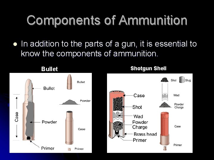 Components of Ammunition l In addition to the parts of a gun, it is