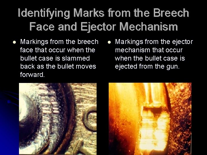 Identifying Marks from the Breech Face and Ejector Mechanism l Markings from the breech