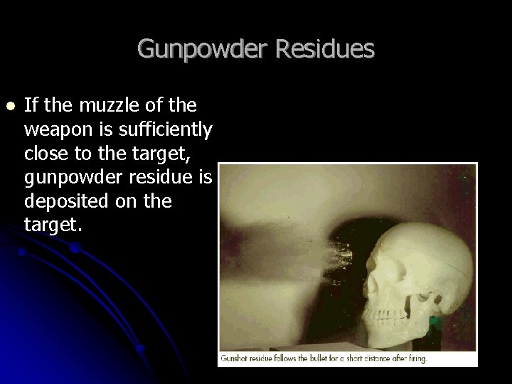 Gunpowder Residues l If the muzzle of the weapon is sufficiently close to the