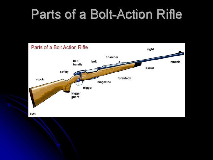 Parts of a Bolt-Action Rifle 