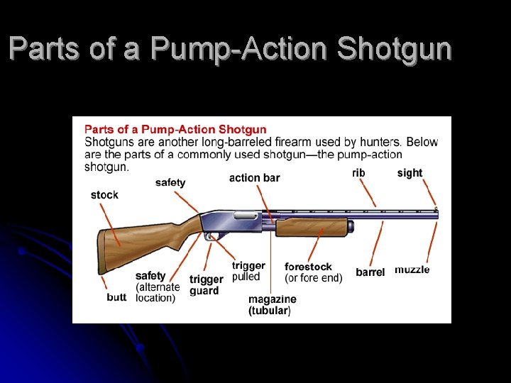 Parts of a Pump-Action Shotgun 