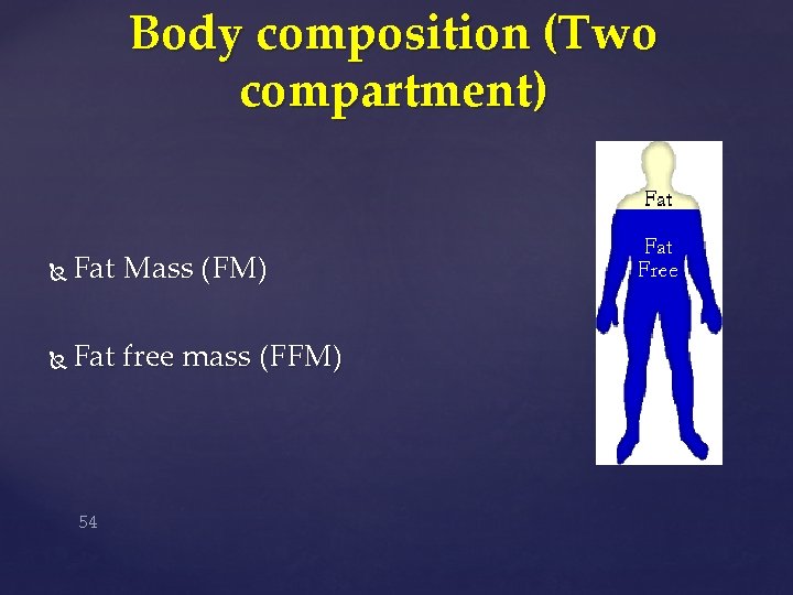 Body composition (Two compartment) Fat Mass (FM) Fat free mass (FFM) 54 