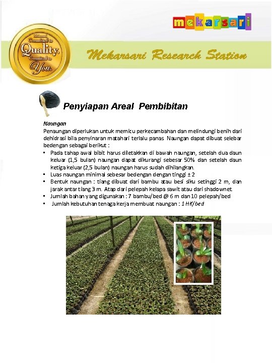 Penyiapan Areal Pembibitan Naungan Penaungan diperlukan untuk memicu perkecambahan dan melindungi benih dari dehidrasi