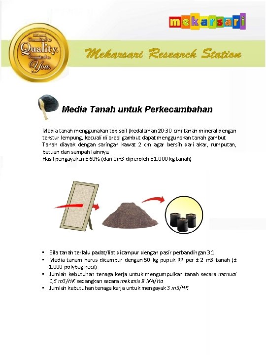  Media Tanah untuk Perkecambahan Media tanah menggunakan top soil (kedalaman 20 -30 cm)