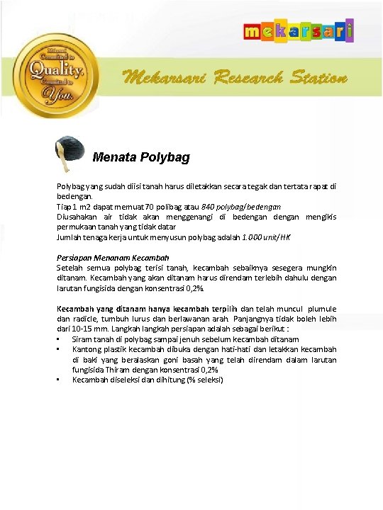  Menata Polybag yang sudah diisi tanah harus diletakkan secara tegak dan tertata rapat