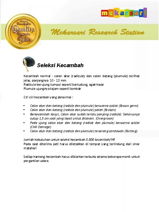  Seleksi Kecambah normal : calon akar (radicule) dan calon batang (plumule) terlihat jelas,