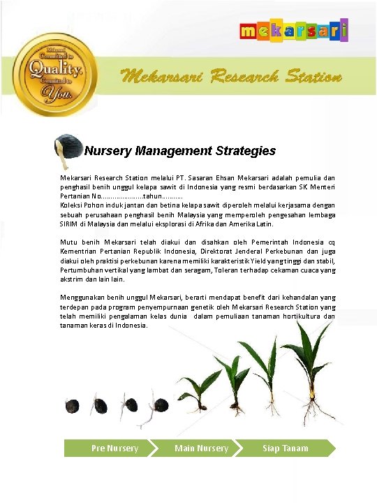 Nursery Management Strategies Mekarsari Research Station melalui PT. Sasaran Ehsan Mekarsari adalah pemulia dan