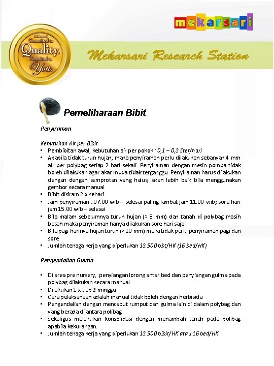 Pemeliharaan Bibit Penyiraman Kebutuhan Air per Bibit • Pembibitan awal, kebutuhan air per pokok