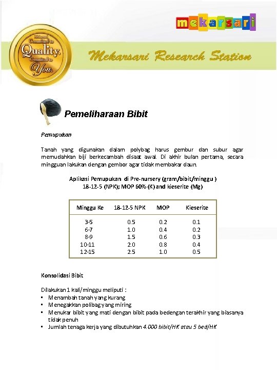 Pemeliharaan Bibit Pemupukan Tanah yang digunakan dalam polybag harus gembur dan subur agar memudahkan