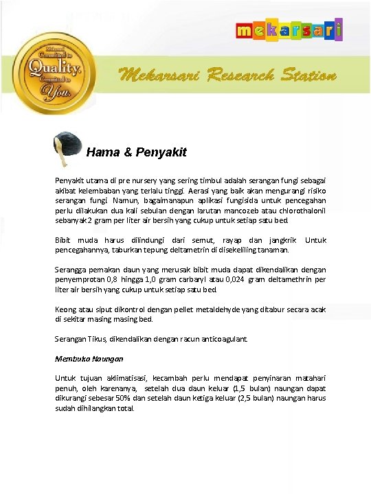 Hama & Penyakit utama di pre nursery yang sering timbul adalah serangan fungi sebagai