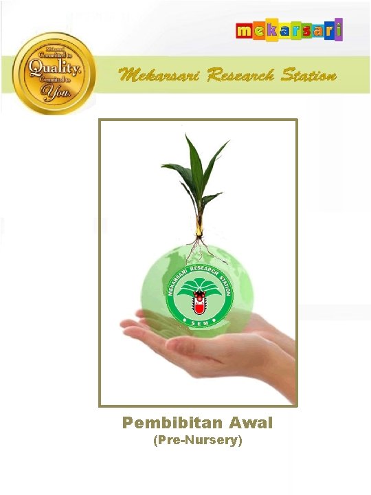 Pembibitan Awal (Pre-Nursery) 