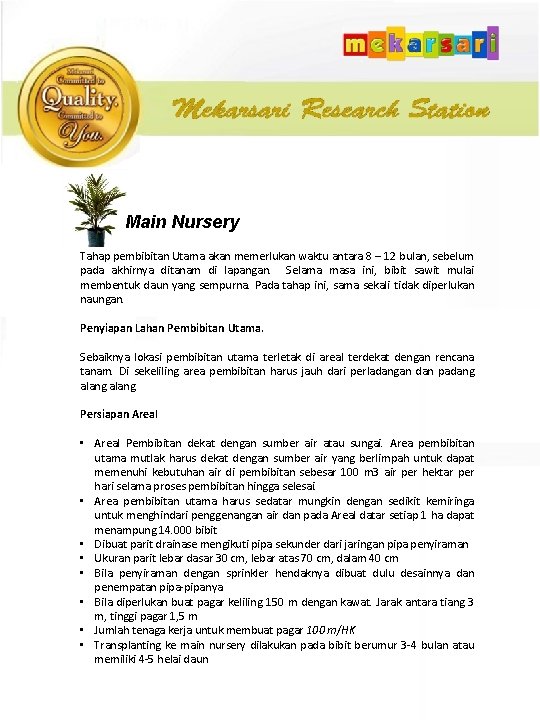 Main Nursery Tahap pembibitan Utama akan memerlukan waktu antara 8 – 12 bulan, sebelum
