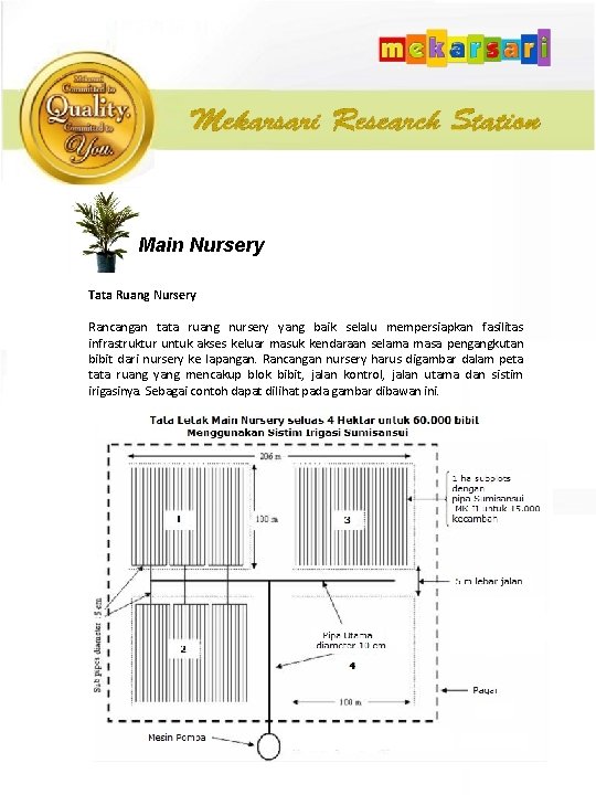 Main Nursery Tata Ruang Nursery Rancangan tata ruang nursery yang baik selalu mempersiapkan fasilitas